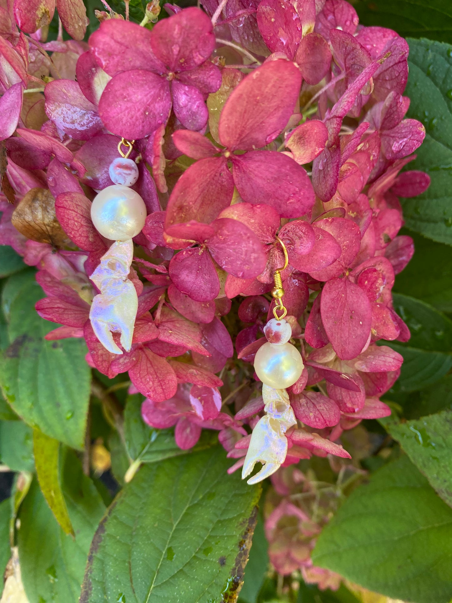 Cutesy Demure Crustation Earrings