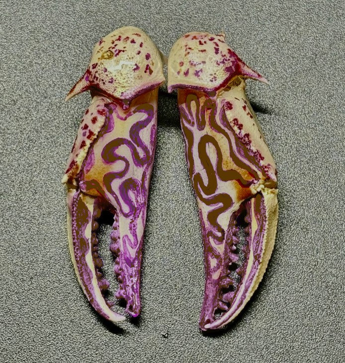 Customizable Swirly Earrings