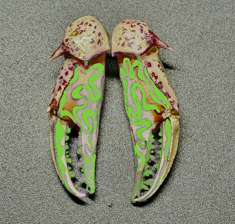 Customizable Swirly Earrings