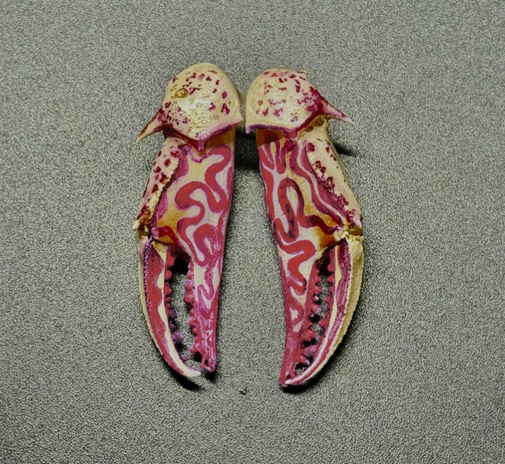 Customizable Swirly Earrings